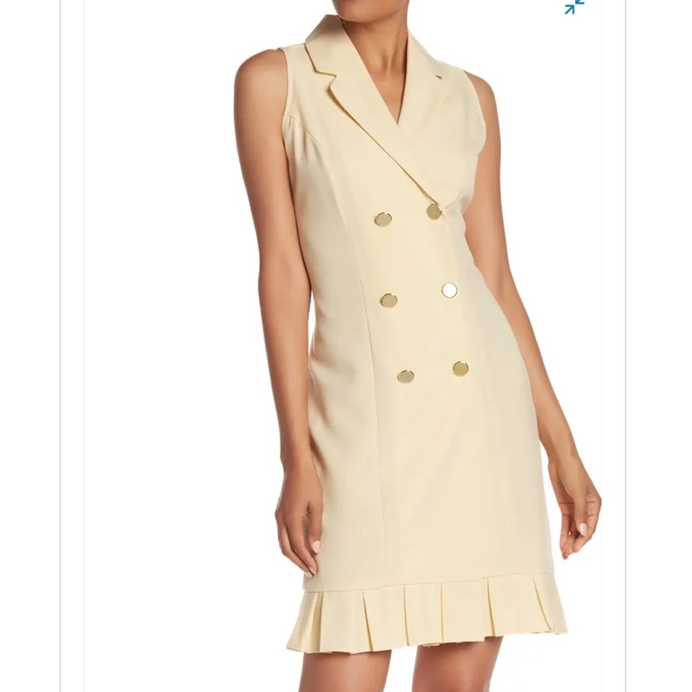 Pleated Double Breasted Dress